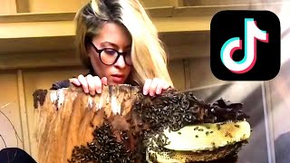 TikTok page 'TexasBeeWorks' goes viral for owner's incredible beekeeping skills