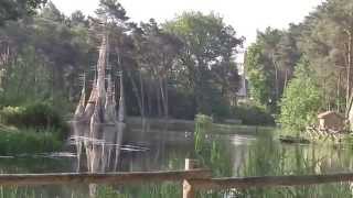 Efteling Bosrijk  Meer Van Dromenen Andere Aanzichtenmei 2014