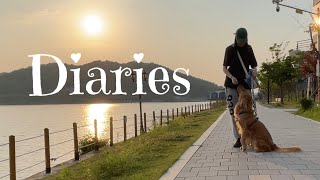 DIARIES | барбекю, кемпинг у моря в Корее