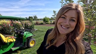 Setting Up a Weather Station, Peach Harvest & Planting Russian Sage!  // Garden Answer