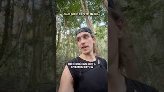 Заблудился в джунглях Тайланда