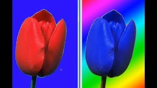 Adobe Photoshop 7 . 0 Tutorial || Photoshop Tutorials || Photoshop basic screenshot 5