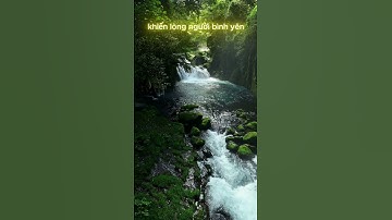 Thác Nước Tuyệt Đẹp Giữa Rừng Nguyên Sinh: Vẻ Đẹp Hoang Sơ Và Thư Thái #short #shortvideo #travel