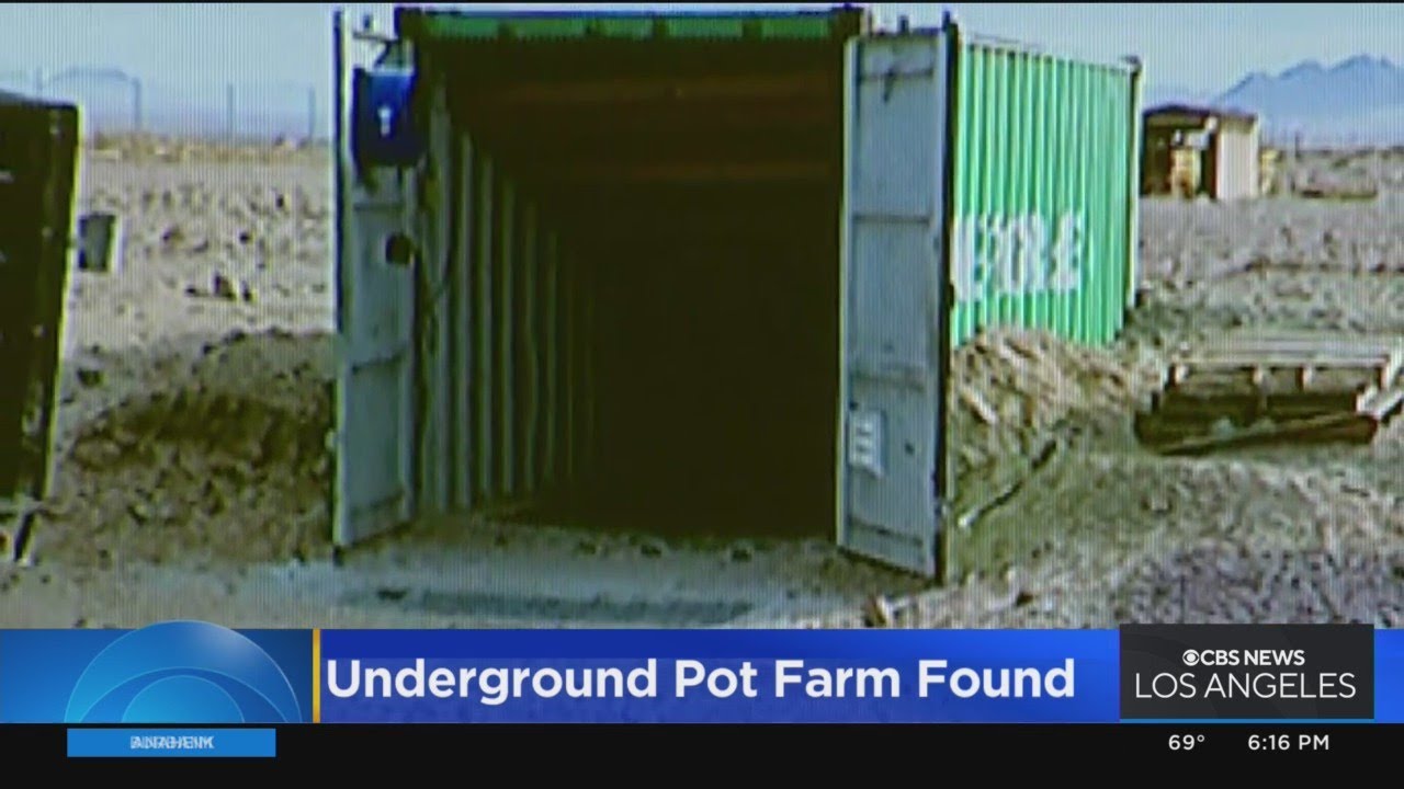 San Bernardino authorities uncover massive illegal underground marijuana grow operation