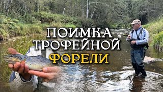 Одна поимка, но какая!  ТРОФЕЙНАЯ ФОРЕЛЬ в диких реках Тверской области!
