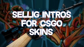 Selling Intros For CS:GO Skins! Read Desc