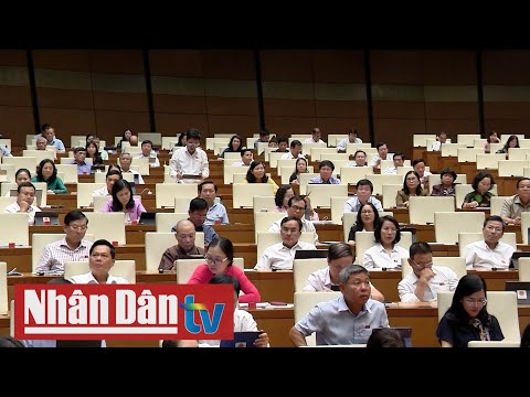 Đại biểu Quốc hội nêu giải pháp bình ổn giá thịt lợn