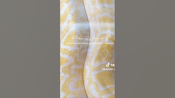 تلاوة خاشعة بصوت عذب #القرآن_الكريم #القرآن_الكريم #المصحف #راحة_نفسية