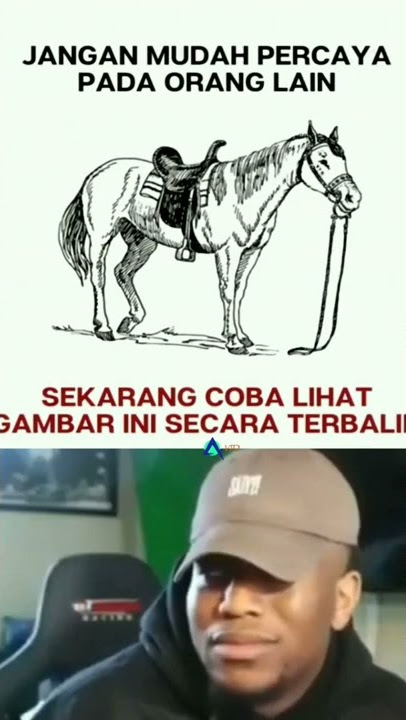 story wa lucu.  'jangan lupa subscribe'