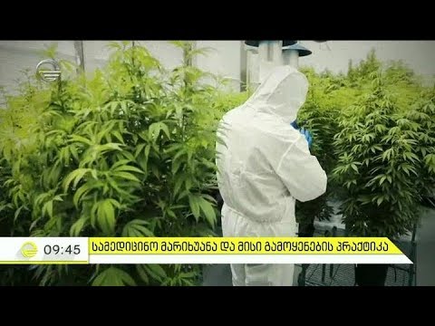 გახდება თუ არა საქართველო სამედიცინო მარიხუანის მწარმოებელი ქვეყანა