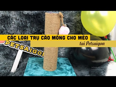Khám Phá Các Loại Trụ Cào Móng Cho Mèo - By Petsaigon