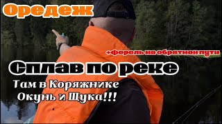 Сплав и рыбалка на реке Оредеж.Окунь,щука.Форель на речке по пути назад.#fishing #микроречка #форель