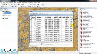 5 Trucos de ArcGIS para trabajar con Tabla de Atributos