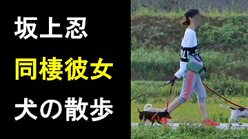 坂上どうぶつ王国3時間 坂上どうぶつ王国3時間