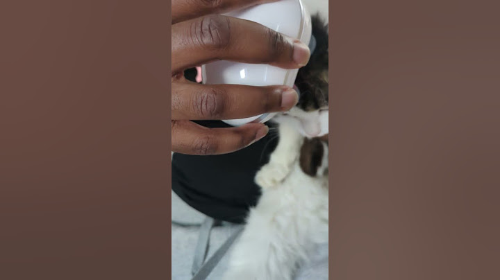 Back in Kanagawa; My husband ordered the viral cat massager, Moxi kinda likes it