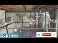 White java sparrow breeding colony breeding progress , Birds care and tips