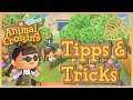 Einfache Tipps & Tricks für ANIMAL CROSSING NEW HORIZONS