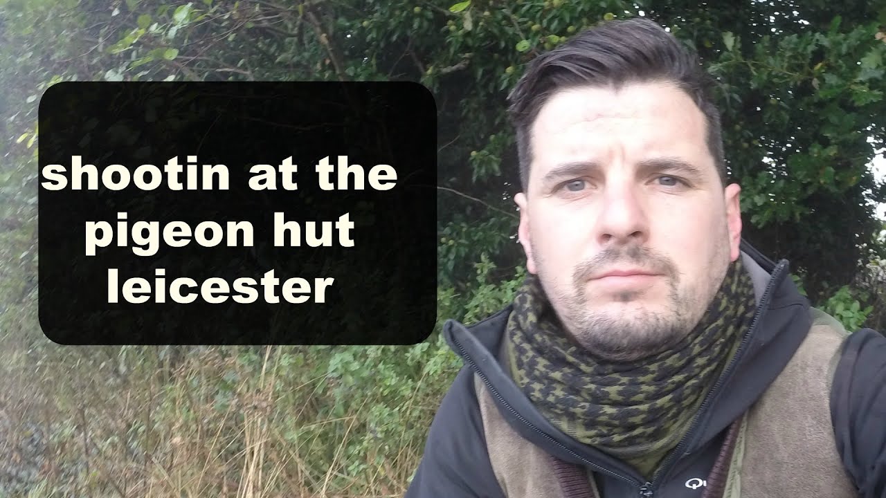 pigeon shooting at the pigeon hut leicester YouTube