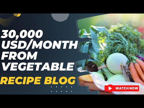 This Is Insane 30 000 USD Per Month From Recipe Blog 