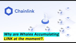 Why are Whales Accumulating LINK at the moment - crypto news