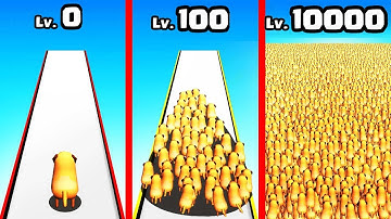 Pets Count Run - All Levels