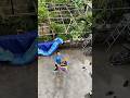 cậu bé chơi diều bị ném 1000 quả bóng nước #shortvideo #subscribe #comedy #shorts