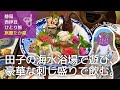 【静岡 西伊豆 一人旅】田子の海水浴場で泳ぎ、お腹を空かせた後は田子漁港で獲れた新鮮でおいしい魚料理をたくさん食べて酒を飲む