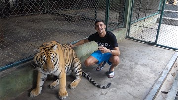 ZELFS IN THAILAND AANGEHOUDEN! VLOG 25