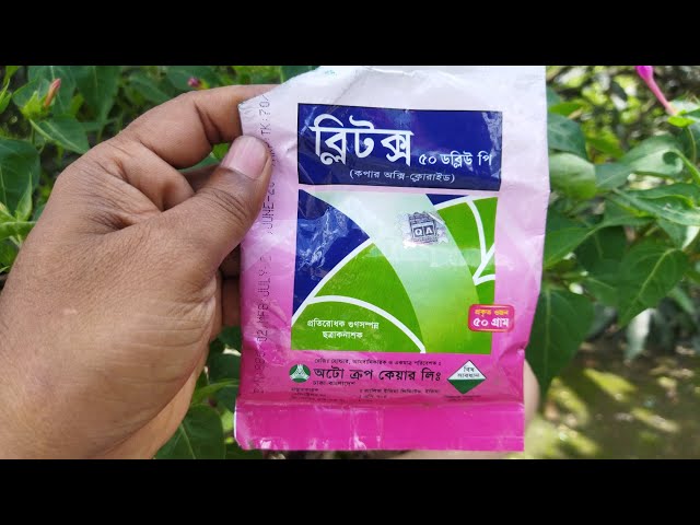 Жіңішке, қисық жетілген әйелдер порносын онлайн көру София Ротарудың үлкен көлемдегі порнографиялық фотосуреттері