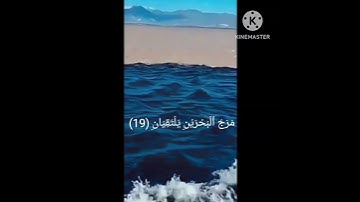 سورة الرحمن القارئ هزاع البلوشي