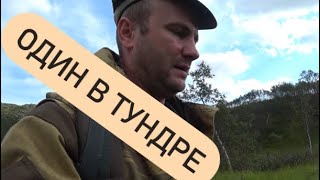 Поход в лес (тундра) один в медвежье логово #поход #выживание #тундра #териберка #рыбалка