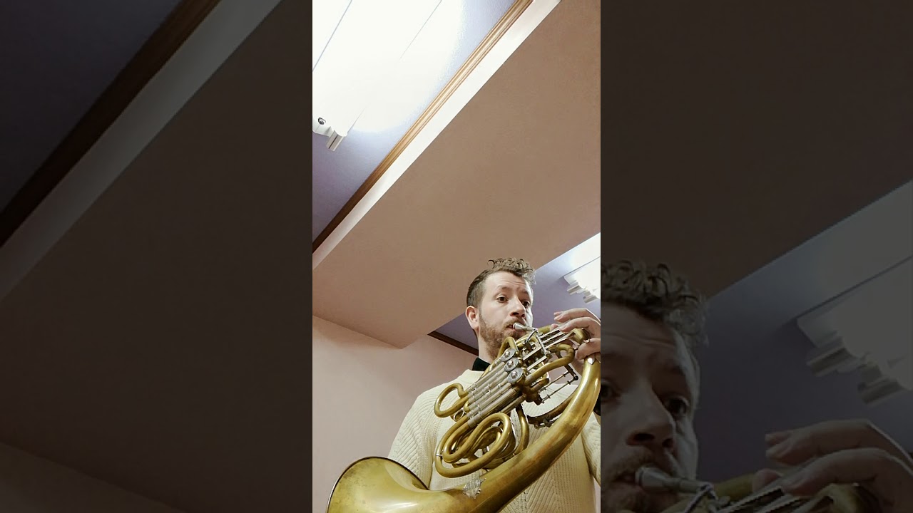 Concertpiece, Opus 94 By Camille Saint-Saens サンサーンス演奏会用