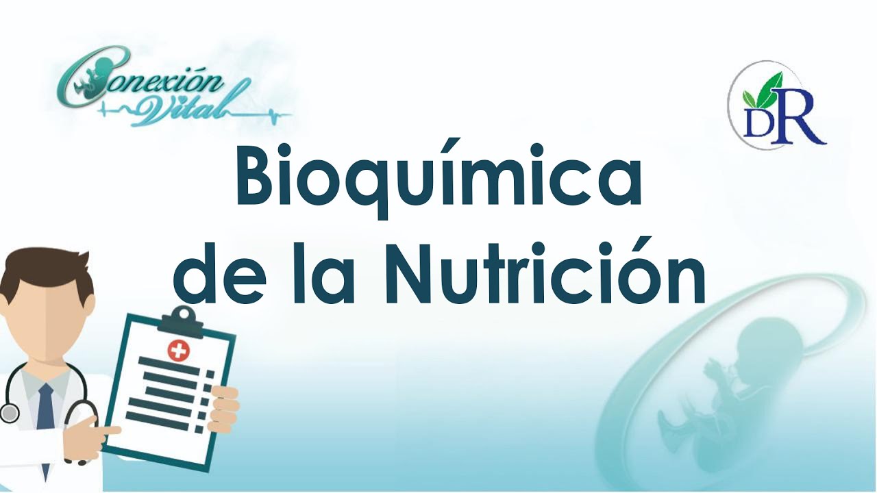 Bioquímica de la Nutrición - YouTube