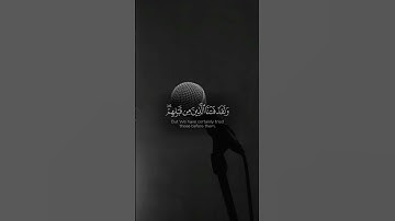 أبوبكر الشاطري  تلاوة عطرة من القرآن الكريم #المصحف #قران_كريم  #اكسبلور