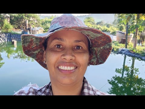 Pra quem gosta da vida na roça, tem que ter suinocultura e psicultura.