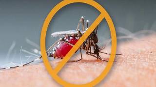 Средство от комаров / Защита от комаров на природе