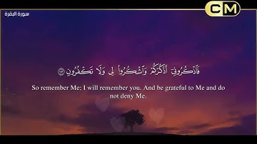 القرأن الكريم/سورة البقرة/الآية 140 الي الآية 160 تلاوة هادئة ارح بها نفسك وروحك وجسدك🤍💚🤍💚