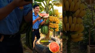 #farmhacks #creativefarming #agritech #diyfarm #growyourown #homesteadFarm Hacks That Wow, Grow Smar