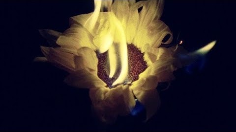 The Evil Within - Teaser Trailer