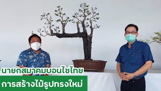 การสร้างไม้รูปทรงใหม่ โดยท่านนายกสมาคมบอนไซไทย