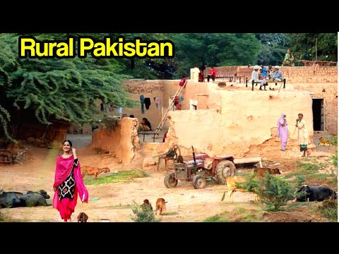 Village Life in Pakistan | Pakistani Punjab Village Life | Rural life  pakistan - YouTube