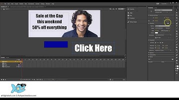 Adobe Animate/Flash - Web Banner for Online Advertising