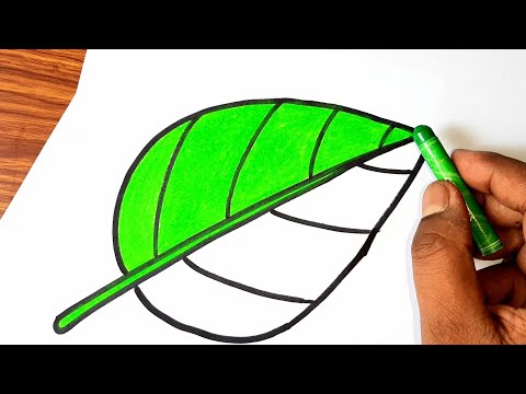 LEAF DRAWING easy | পাতা অঙ্কন করার সহজ কৌশল |