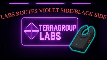 How to Make Easy Money in Tarkov PVE – Labs Black & Violet Side Loot Routes