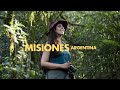 Lo mejor de misiones la selva argentina 