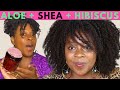 Homemade Aloe Vera and Shea Butter Moisturizer for Massive Hair Growth | Preservative Questions