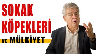 Mülkiyet Ve Sokak Köpekleri - Tc Anayasaları - Prof. Dr. Süheyl Batum - B13
