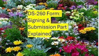 DS-260 Form: Signing & Submission Explained #ds260 #dvlottery2026 #usa #immigration #dvlottery