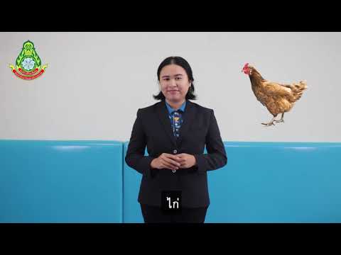 ภาษามือไทยพื้นฐาน - เรื่อง สัตว์