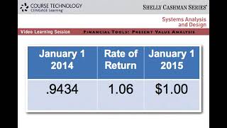Famous Systems Analysis and Design - Net Present Value Profile